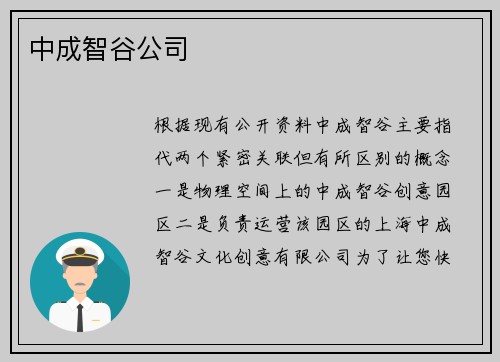 中成智谷公司